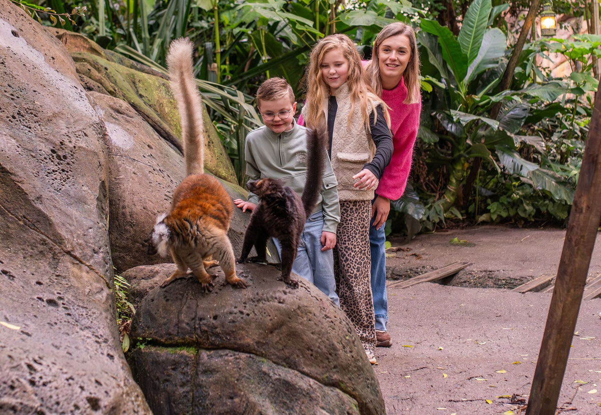 Wildlands Adventure Zoo Emmen - afbeelding 4